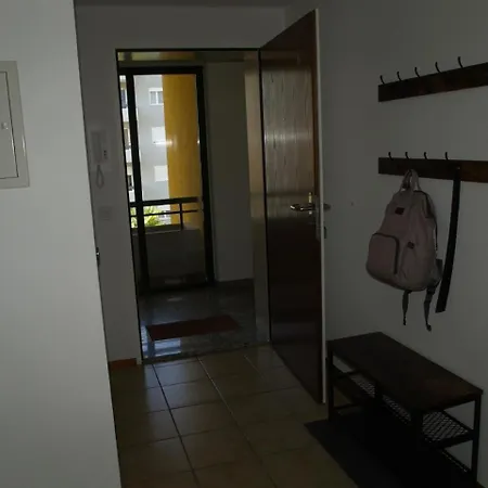 Robinia In Apartment Locarno